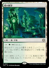 card300177-series208405-rarity323476