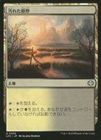 card309182-series208405-rarity323478
