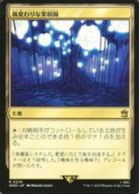 card304387-series208771-rarity323476