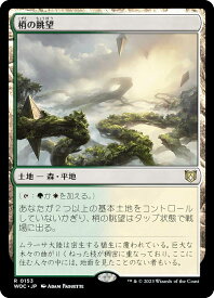 card300177-series209371-rarity323476