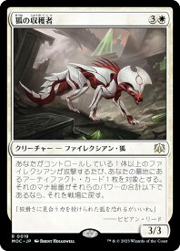 card331652-series209908-rarity323476