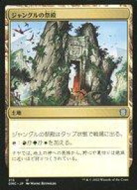 card304616-series211276-rarity323478