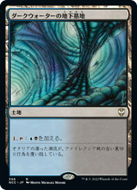 card309504-series211496-rarity323476