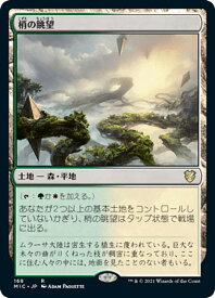 card300177-series212234-rarity323476