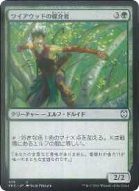 card308548-series212815-rarity323478