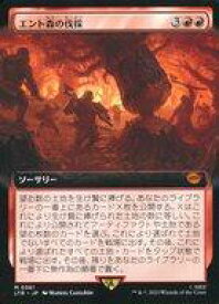 card335076-series213215-rarity323477