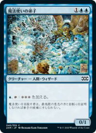 card313683-series181672-rarity323480