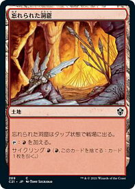card308866-series223678-rarity323480