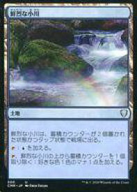 card305546-series224087-rarity323478