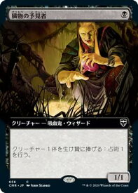 card316726-series224087-rarity323480