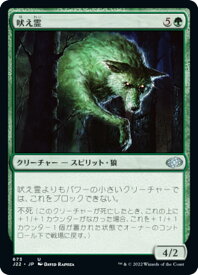 card302375-series180444-rarity323478