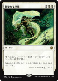 card304646-series228136-rarity323476