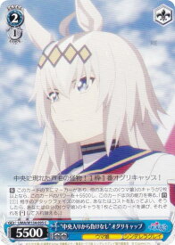 card3994478-series3938251-rarity557243