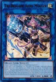 card502321-series373192-rarity540536