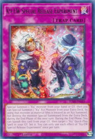 card502377-series373312-rarity540551