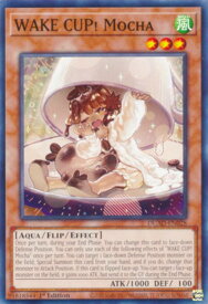 card502621-series373383-rarity540534