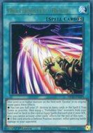 card503661-series373307-rarity540536