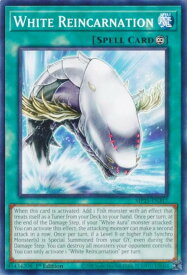 card504216-series373307-rarity540534