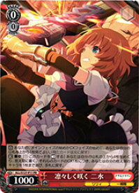 card560530-series4881468-rarity557136