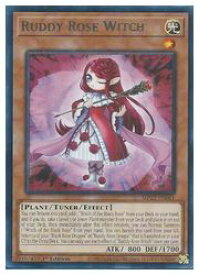 card501904-series373168-rarity540551