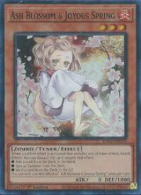 card502108-series373154-rarity540535