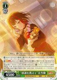 card518077-series388896-rarity559585