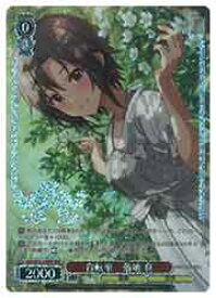 card518702-series389596-rarity562028