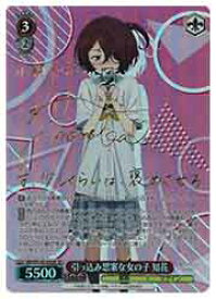 card519177-series390039-rarity557067