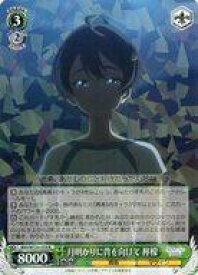 card519194-series390039-rarity557285