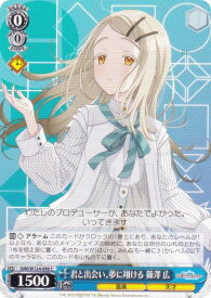 card519978-series390939-rarity557243