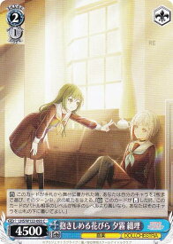 card522081-series393105-rarity557243