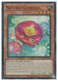 card523535-series377275-rarity540535