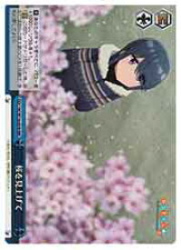 card523615-series394692-rarity557086