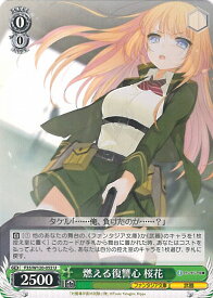 card524203-series395292-rarity557246