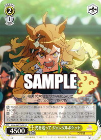 card524577-series395498-rarity557243