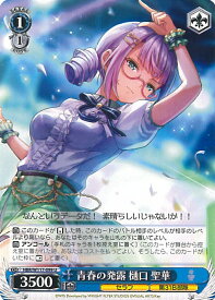 card525183-series396256-rarity557246