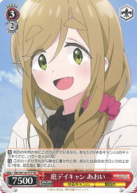 card526339-series397462-rarity557066
