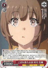 card527778-series398852-rarity557246