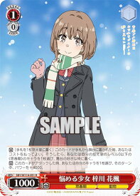 card_527804_series_398852_rarity_557285_
