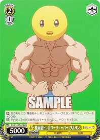 card529212-series400227-rarity557246