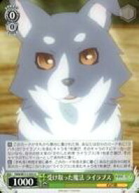 card529594-series400676-rarity557246