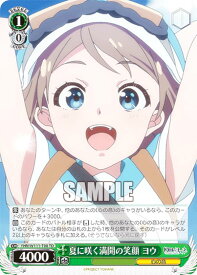 card529703-series400857-rarity557066