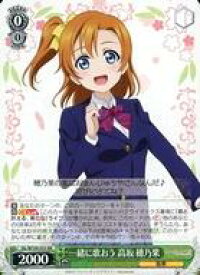 card529971-series401142-rarity557275