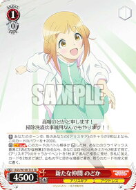 card530265-series401486-rarity557066