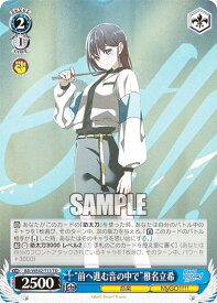 card530594-series401793-rarity557066