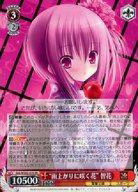 card531104-series402318-rarity557275