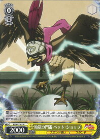 card531755-series402898-rarity559585