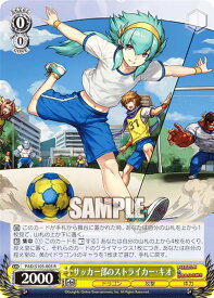 card532891-series404047-rarity557285