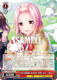 card533017-series404176-rarity557275