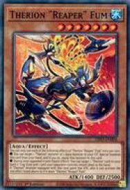 card536990-series377568-rarity540534